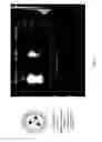 Fig. 09 - Stimuli-responsive magneto-plasmonic nanocarrier