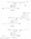 Fig. 01 - CATIONIC STEROID ANTIMICROBIAL DIAGNOSTIC, DETECTION, SCREENING AND IMAGING METHODS