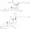 Fig. 22 - CATIONIC STEROID ANTIMICROBIAL DIAGNOSTIC, DETECTION, SCREENING AND IMAGING METHODS