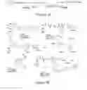 Fig. 02 - Labeling of antibodies