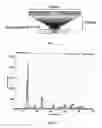 Fig. 02 - Photocatalytic element