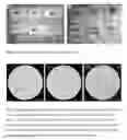 Fig. 02 - BIOCOMPATIBLE CARBOXYMETHYLCELLULOSE MATRIX (BCM) FOR HEMOSTASIS, TISSUE BARRIER, WOUND HEALING, AND COSMETOLOGY