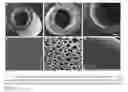 Fig. 01 - Biocompatible implants for nerve re-generation and methods of use thereof