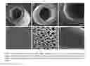 Fig. 03 - Biocompatible implants for nerve re-generation and methods of use thereof