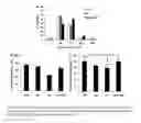 Fig. 04 - Biocompatible implants for nerve re-generation and methods of use thereof