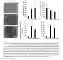 Fig. 07 - Biocompatible implants for nerve re-generation and methods of use thereof