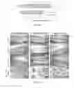 Fig. 10 - POLY(THIOKETAL URETHANE) SCAFFOLDS AND METHODS OF USE