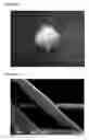 Fig. 02 - Method for manufacturing bone-regeneration material comprising biodegradable fibers by using electrospinning method