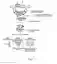 Fig. 04 - Methods for inhibiting stenosis, obstruction, or calcification of a stented heart valve or bioprosthesis