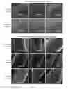 Fig. 09 - Formulations for tailored drug release