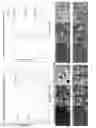 Fig. 16 - Formulations for tailored drug release