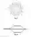 Fig. 04 - ENCAPSULATED DRUG COMPOSITIONS AND METHODS OF USE THEREOF