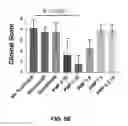 Fig. 07 - Adhesion prevention with shear-thinning polymeric hydrogels