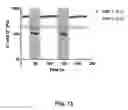 Fig. 16 - Adhesion prevention with shear-thinning polymeric hydrogels