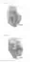 Fig. 11 - Viscoelastic composition