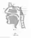Fig. 02 - Nasal Flushing Catheter