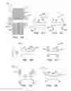 Fig. 07 - Systems and methods for percutaneous body lumen drainage