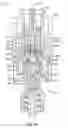 Fig. 09 - Closed male luer device for use with needleless access devices