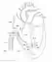 Fig. 01 - Delivery devices and methods for leadless cardiac devices