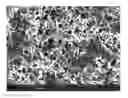 Fig. 01 - Laser marking of raw anode foil to induce uniform pattering and etching with oxide passivation mask