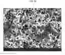Fig. 02 - Laser marking of raw anode foil to induce uniform pattering and etching with oxide passivation mask