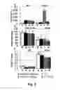 Fig. 06 - Concerted use of noninvasive neuromodulation device with exoskeleton to enable voluntary movement and greater muscle activation when stepping in a chronically paralyzed subject