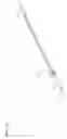Fig. 06 - Catheter-based delivery system for delivering a leadless pacemaker and employing a locking hub