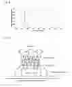 Fig. 07 - IRRADIATION DEVICE