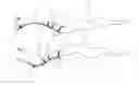 Fig. 02 - Swim training apparatus for bilateral undulation power development