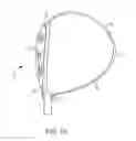 Fig. 02 - Golf club