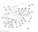 Fig. 02 - Skateboard for Maintaining Multiple Cruising Speeds