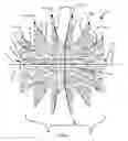 Fig. 03 - Construction toy element and set