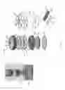 Fig. 04 - Integrated membrane device