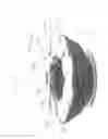 Fig. 32 - ADDITIVE CARRIER FOR SPIN ON FILTERS
