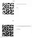 Fig. 02 - SEPARATION FILM, CELLULOSE-BASED RESIN COMPOSITION, AND METHOD FOR PRODUCING SEPARATION FILM
