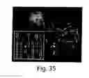 Fig. 35 - MICROFLUIDIC DEVICES