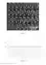 Fig. 02 - Polymer surface with t-shaped microstructure and fabrication method therefor and applications thereof