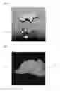 Fig. 02 - Cured biodegradable microparticles and scaffolds and methods of making and using the same