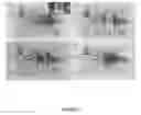 Fig. 03 - Gradient-on-a-chip