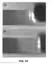 Fig. 20 - Sorting biological and non-biological moieties using magnetic levitation