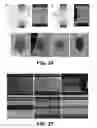 Fig. 22 - Sorting biological and non-biological moieties using magnetic levitation