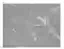 Fig. 35 - Method for producing metal nanowire
