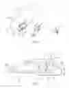 Fig. 02 - Cutting insert having two peripheral abutment ridges and cutting tool