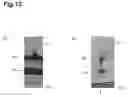 Fig. 14 - Laser processing method, and laser processing device