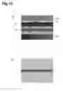 Fig. 17 - Laser processing method, and laser processing device