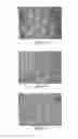 Fig. 05 - Adsorption heat exchanger devices