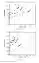 Fig. 04 - ABRASIVE ARTICLE AND METHOD FOR FORMING SAME