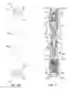 Fig. 15 - Multi-piece Wrench and Screwdriver Tool