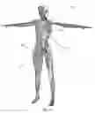 Fig. 02 - Biomimetic humanoid robotic model, control system, and simulation process