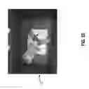 Fig. 07 - User-assisted robotic control systems